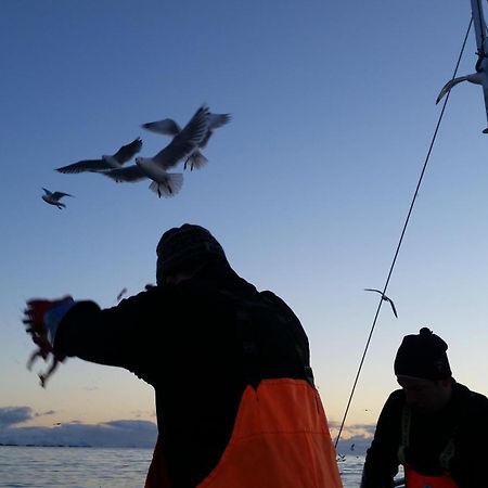 Koselig Hus Til Leie Pa Stokmarknes I Vesteralen Lägenhet Exteriör bild