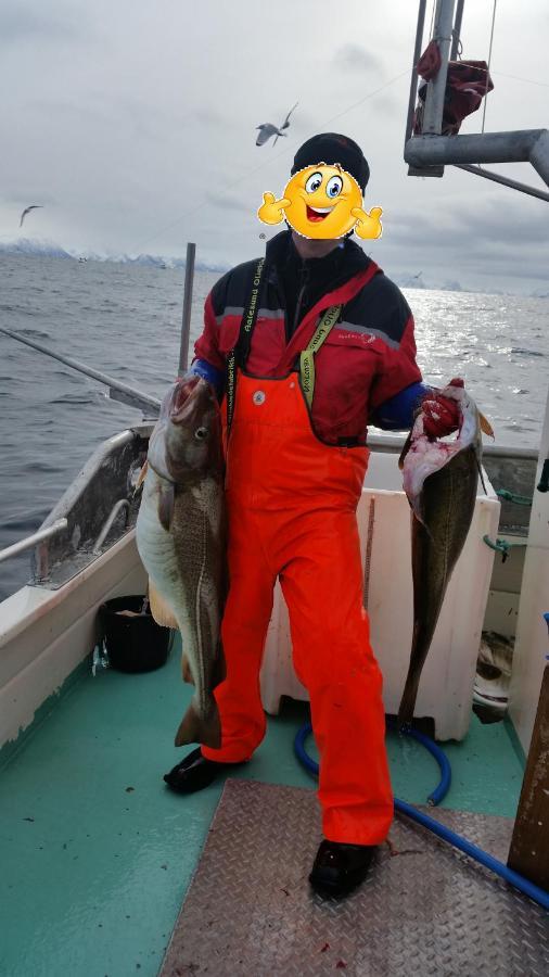 Koselig Hus Til Leie Pa Stokmarknes I Vesteralen Lägenhet Exteriör bild